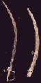 sword.gif (1714 bytes)