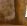 4_1.jpg (5289 bytes)